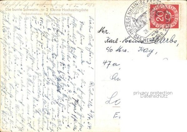Trachten Hessen Kleine Hochzeitsgäste – Bild 2