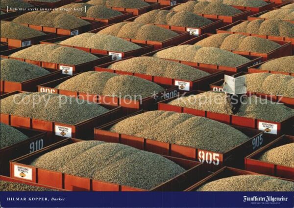 Ernte Landwirtschaft Erdnüsse Peanut Farm Dawson Georgia