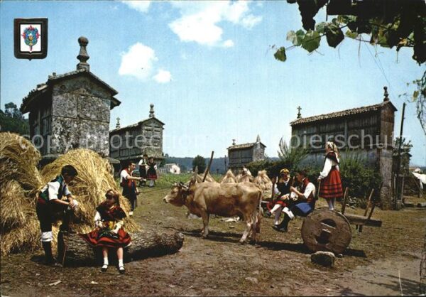 Trachten Spanien Galicia Kühe Tempo de vagar