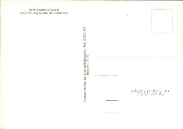 Schwarzwaldhaeuser Kühe – Bild 2