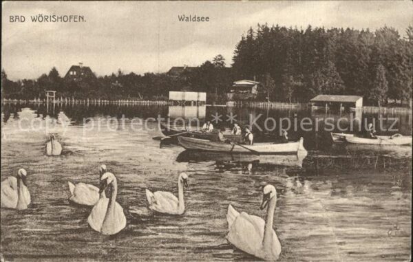 Bad Woerishofen Waldsee Schwäne Bootspartie