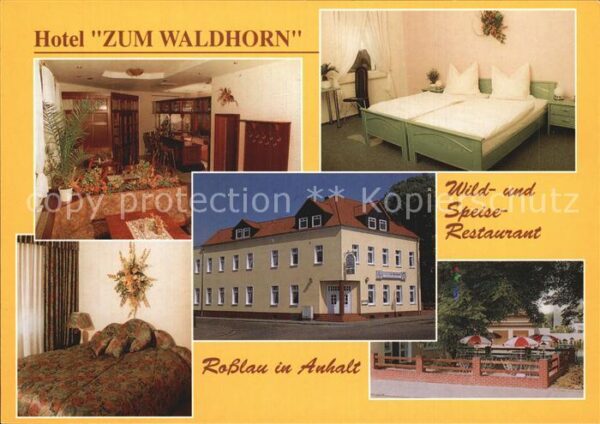 Rosslau Elbe Hotel Zum Waldhorn Gaststube Zimmer Ter
