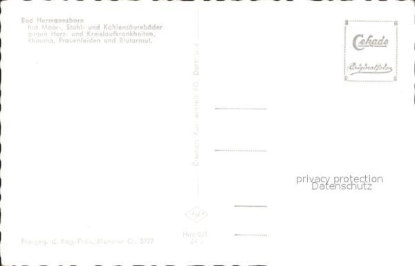 Bad Hermannsborn Kurhaus Fliegeraufnahme – Bild 2