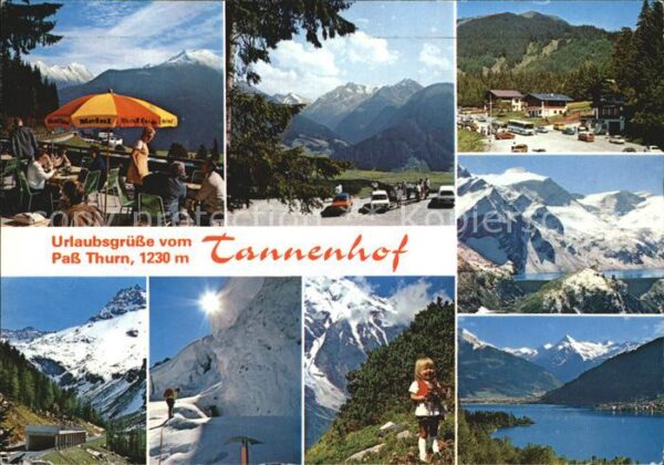 Mittersill Oberpinzgau Cafe Restaurant Tannenhof Terrasse Ries