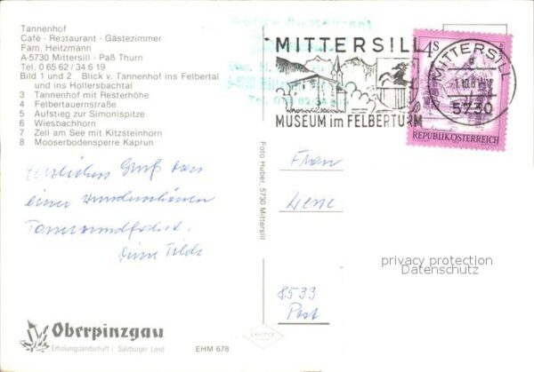 Mittersill Oberpinzgau Cafe Restaurant Tannenhof Terrasse Ries – Bild 2