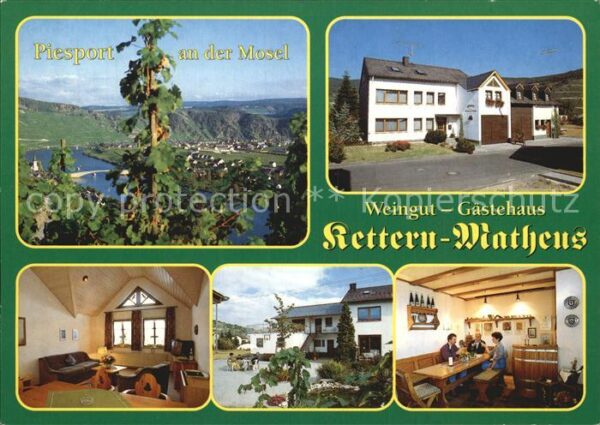 Piesport Panorama Weingut Kettern Matheus Gastst