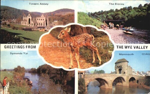 Wye Tintern Abbey The Biblins Symonds Yat M