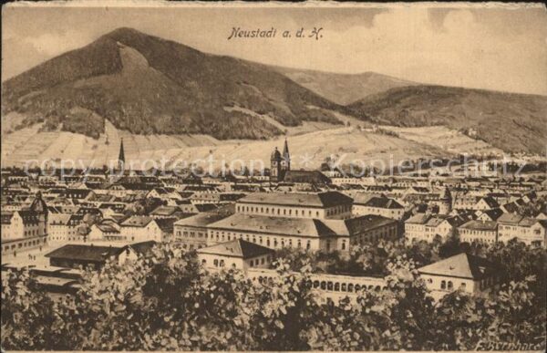 Neustadt Haardt Panorama