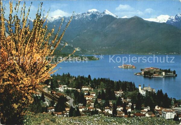 Stresa Lago Maggiore e le isole Borromee Inseln Baumblüte Al
