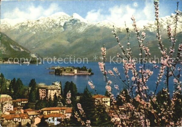 Stresa Lago Maggiore Baumblüte Insel Alpenpanorama