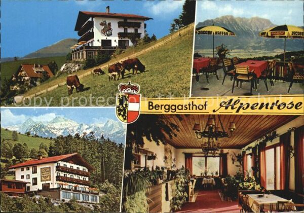 St Koloman Berggasthof Alpenrose Viehweide Kühe Al
