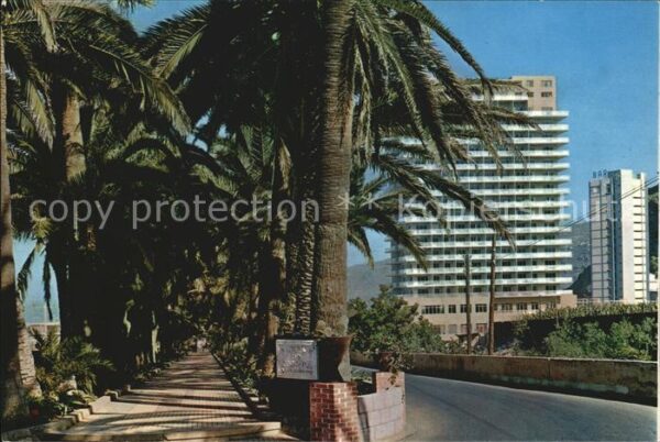 Puerto de la Cruz Hotel San Felipe Palmen Promenade