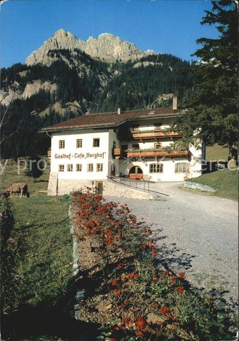 Nesselwaengle Tirol Gasthof Cafe Berghof gegen Gimpelgruppe