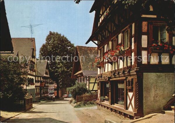 Sasbachwalden Blumen und Weinort im Schwarzwald Ortsp