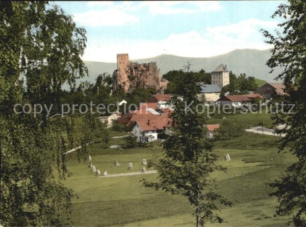 Weissenstein Regen Ortsansicht mit Burgruine Burgberg Pfah