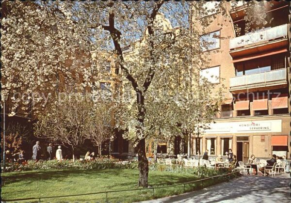 Stockholm Centralbadet Baumblüte