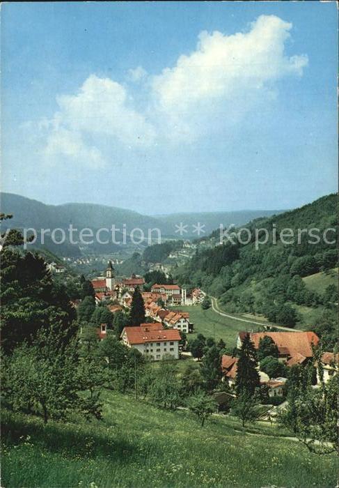 Bad Peterstal-Griesbach Panorama Renchtal Schwarzwald