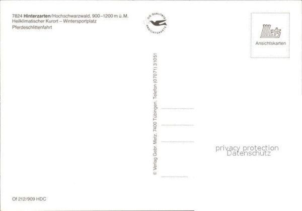 Hinterzarten Pferdeschlittenfahrt Heilklimatischer K – Bild 2