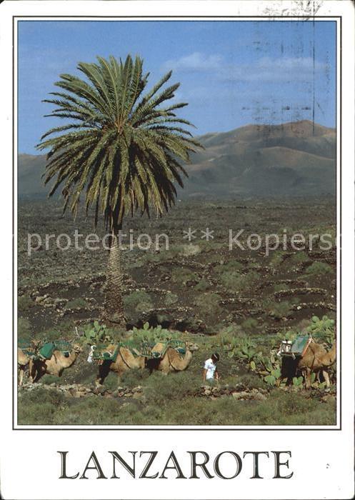 Lanzarote Kanarische Inseln Parque Nacional de Timanfaya