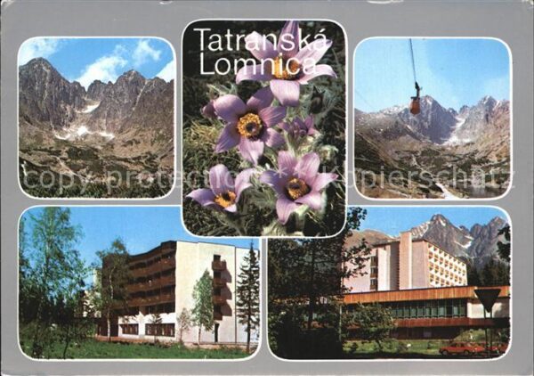 Vysoke Tatry Tatranska Lomnica Bergbahn Gebirgspanor
