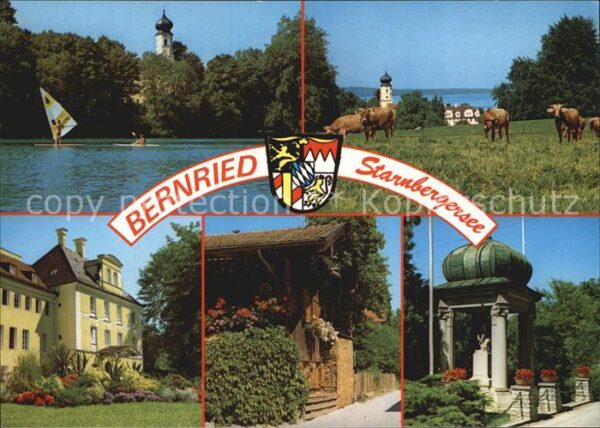 Bernried Starnberger See Teilansichten Viehweide Kühe Windsurfen