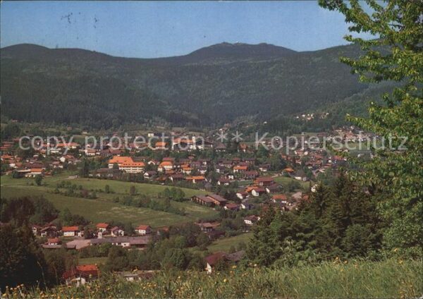 Bodenmais Panorama Höhenluftkurort Bayerischer Wa