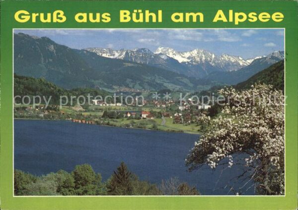 Buehl Alpsee Grosser Alpsee Alpenpanorama Baumblüte