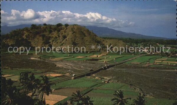 Bali Indonesien Turtle Hill