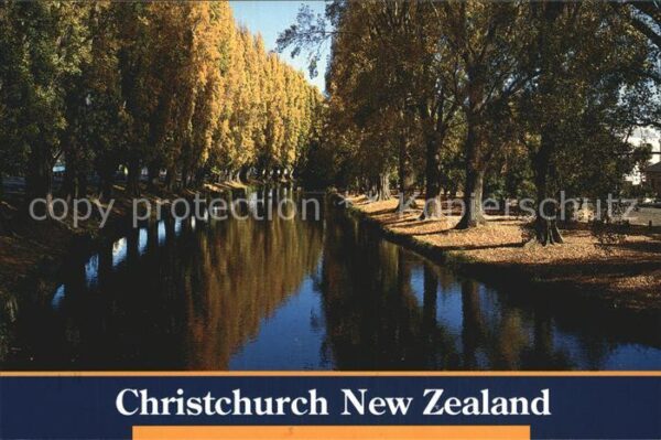 Christchurch Canterbury Autumn Poplar trees on the banks of the