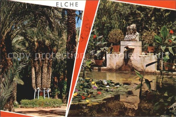 Elche Huerto del Cura Palmera Imperial Tocado