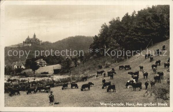 Wernigerode Harz am großen Bleek