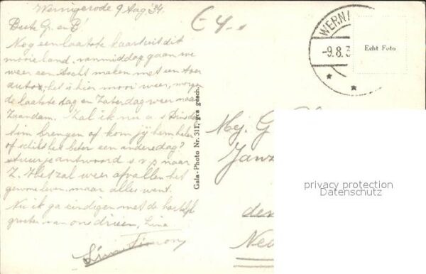 Wernigerode Harz am großen Bleek – Bild 2
