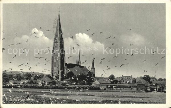 Schleswig Holstein Dom Möwen