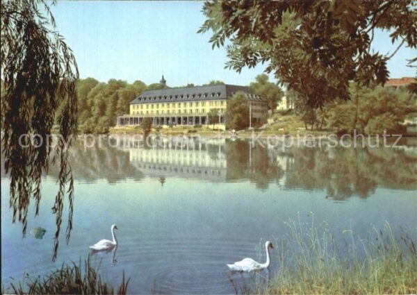 Bad Salzungen Kurhaus am Burgsee Schwäne