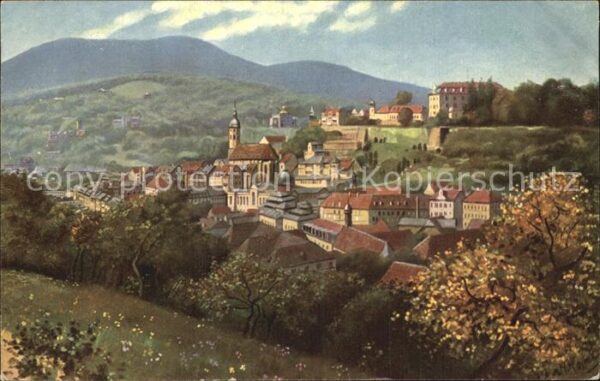 Baden-Baden Blick von der Friedrichshöhe