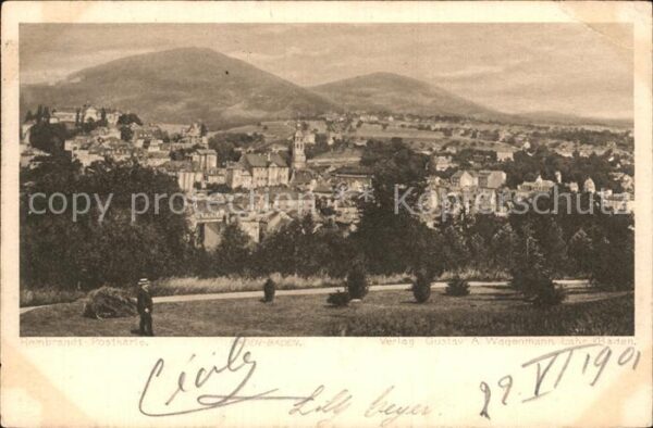 Baden-Baden Panorama