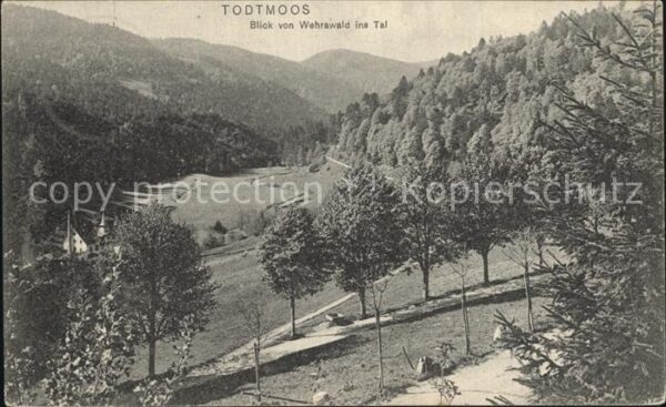 Todtmoos Panorama