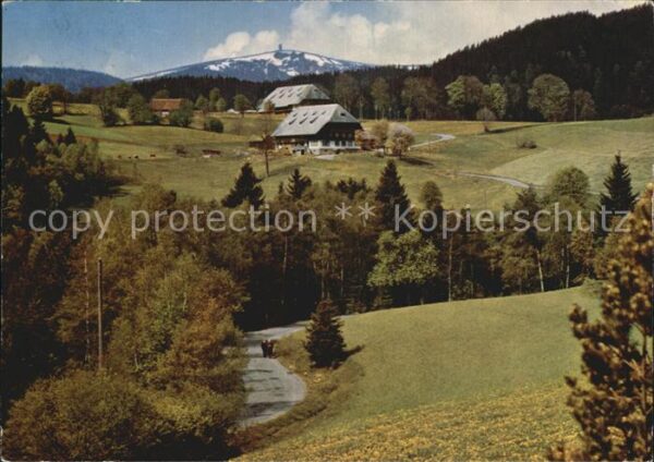 Hinterzarten Blick zum Feldberg