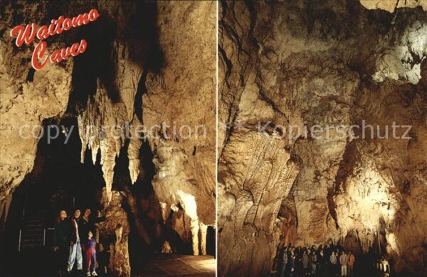 Hoehlen Caves Grottes Waitomo Caves The Cathedral