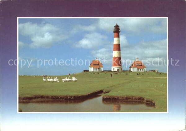 Leuchtturm Lighthouse Gänse