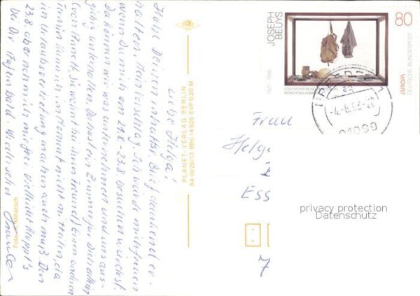 Pferde – Bild 2