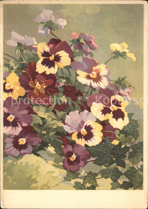 Blumen Stiefmütterchen Künstlerkarte Gustav En