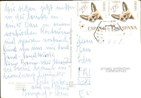 Kamel  Camel Chameau Sahara Meharistas – Bild 2