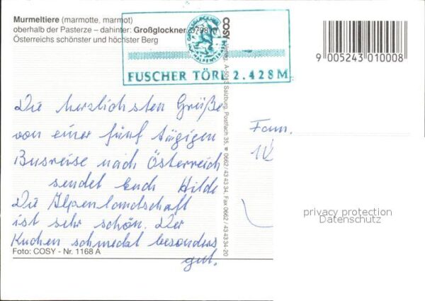Murmeltier Pasterze Grossglockner – Bild 2