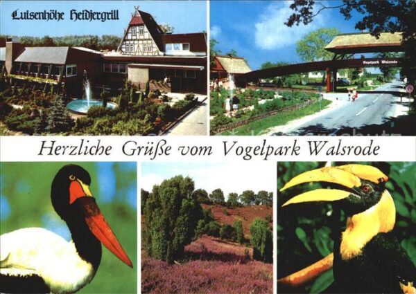 Voegel Vogelpark Walsrode Luisenhöhe Heidjergr