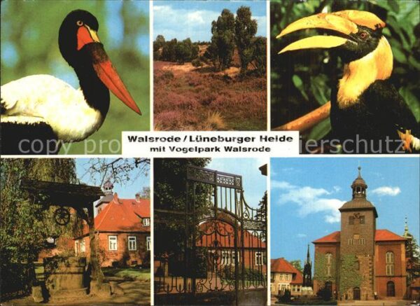 Voegel Vogelpark Walsrode Lüneburger Heide