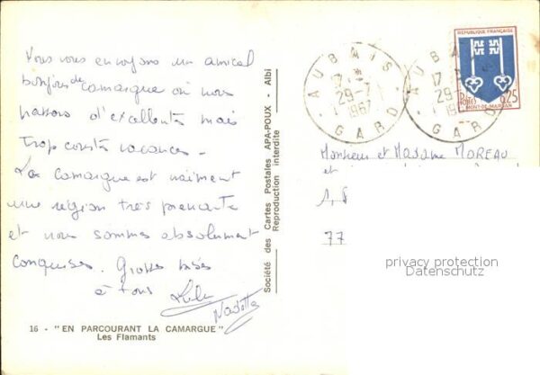 Flamingo Parcourant La Camargue Flamants – Bild 2