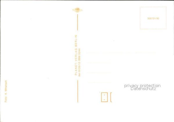 Pferde Fohlen – Bild 2