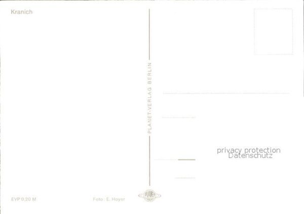 Voegel Kranich – Bild 2