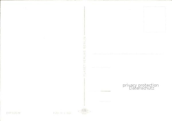 Voegel – Bild 2